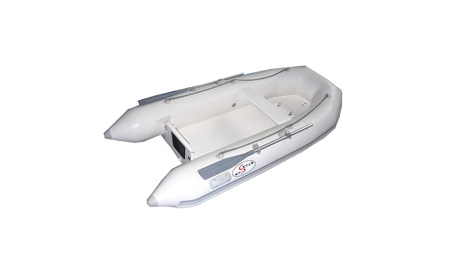 e-Sea 310 RY